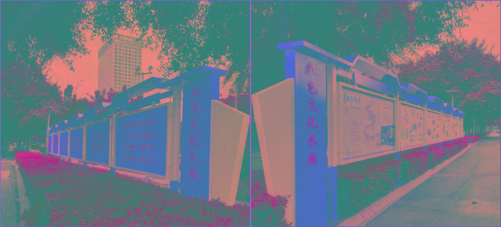 未命名 -1